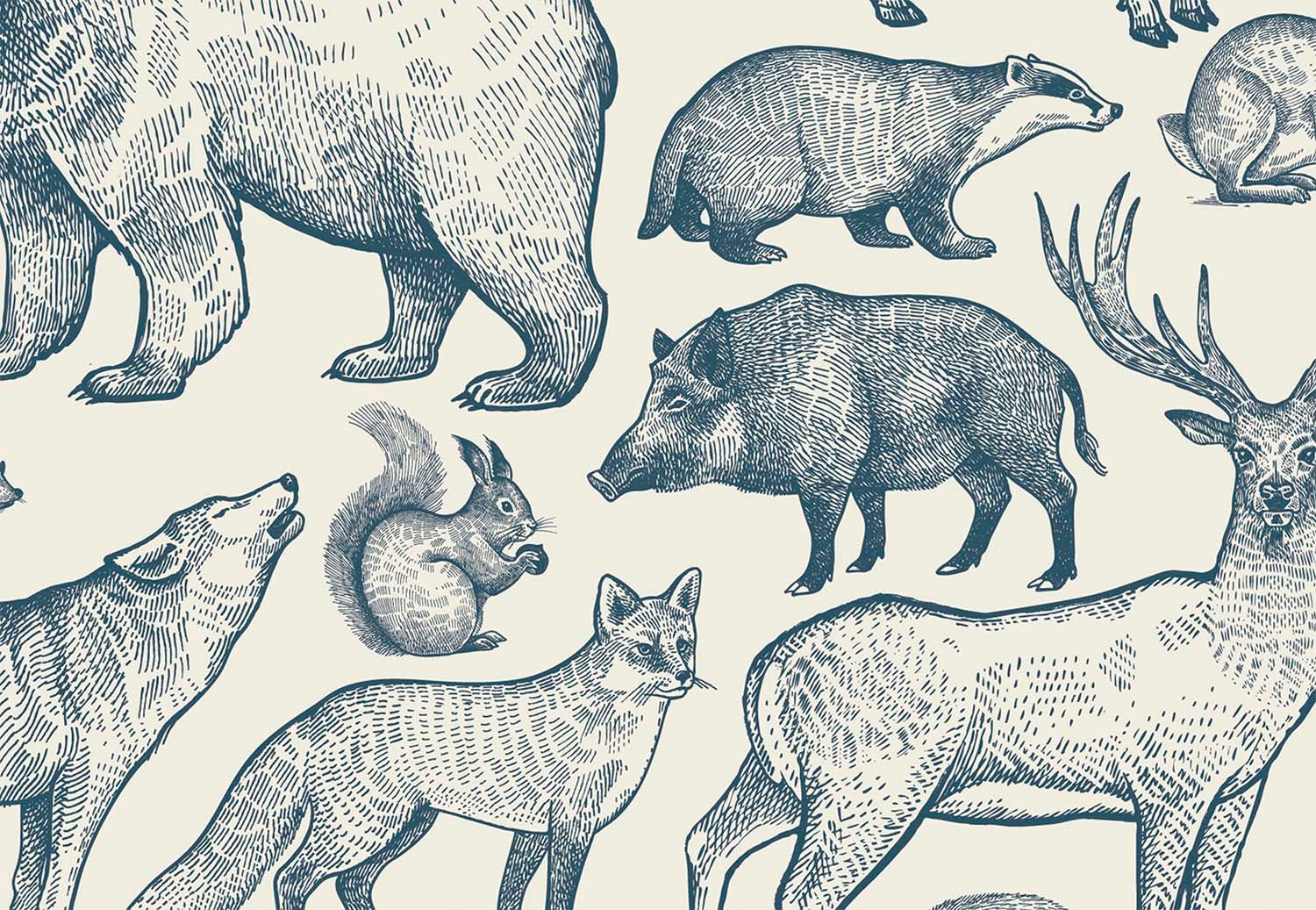 woodland animals wallpaper Peel and Stick nursery decor monochrome forest animal mural removable fabric decal playroom temporary wallpaper